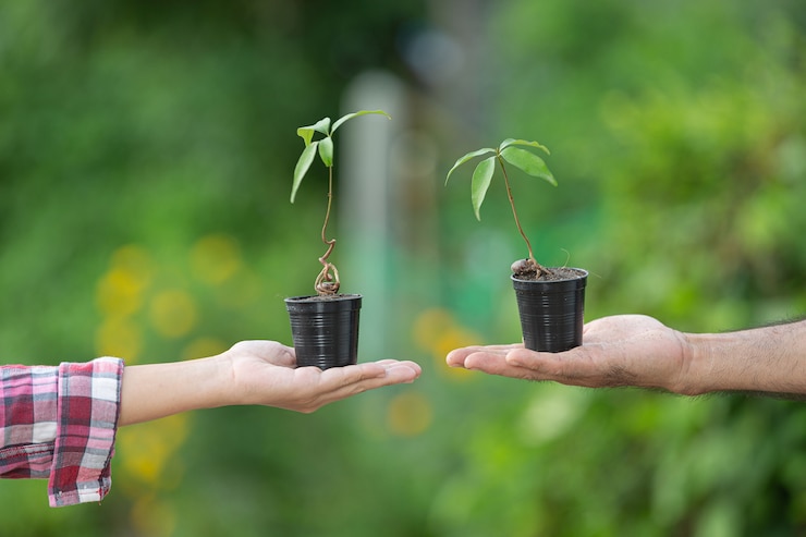 close-up-picture-hand-holding-plant_1150-26644