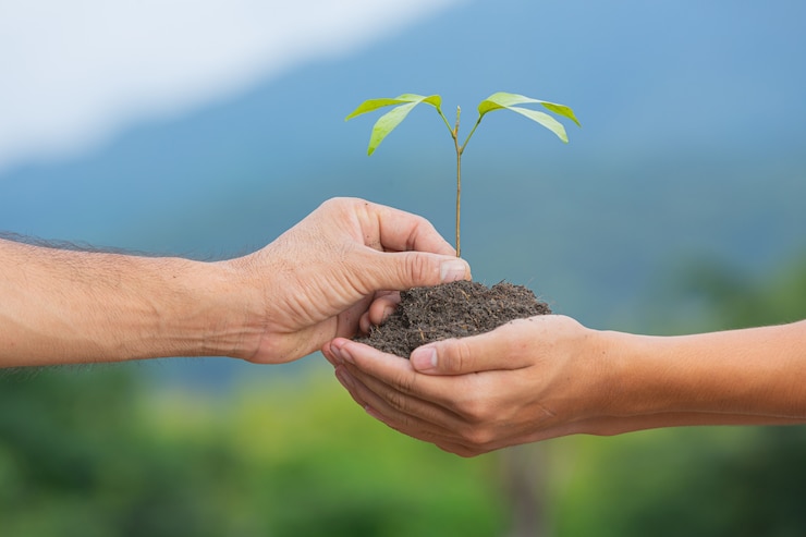 close-up-picture-hand-passing-sapling-plant-another-hand_1150-28365