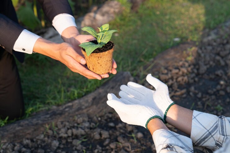ecobusiness-company-empower-farmer-with-ecofriendly-farming-practice-gyre_31965-304442